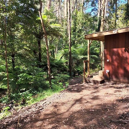 The Fernglen Forest Retreat Mount Dandenong Eksteriør billede