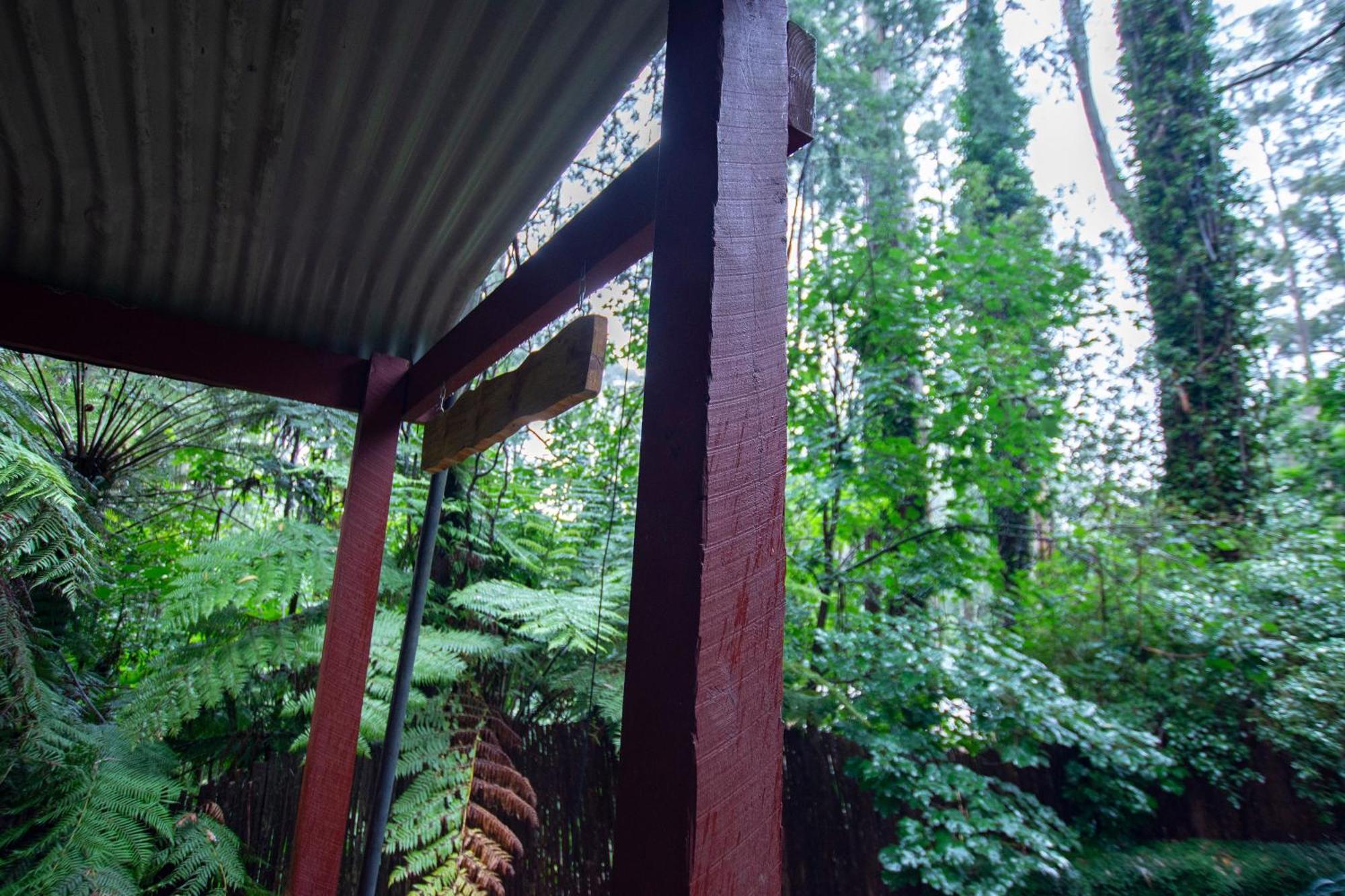 The Fernglen Forest Retreat Mount Dandenong Eksteriør billede