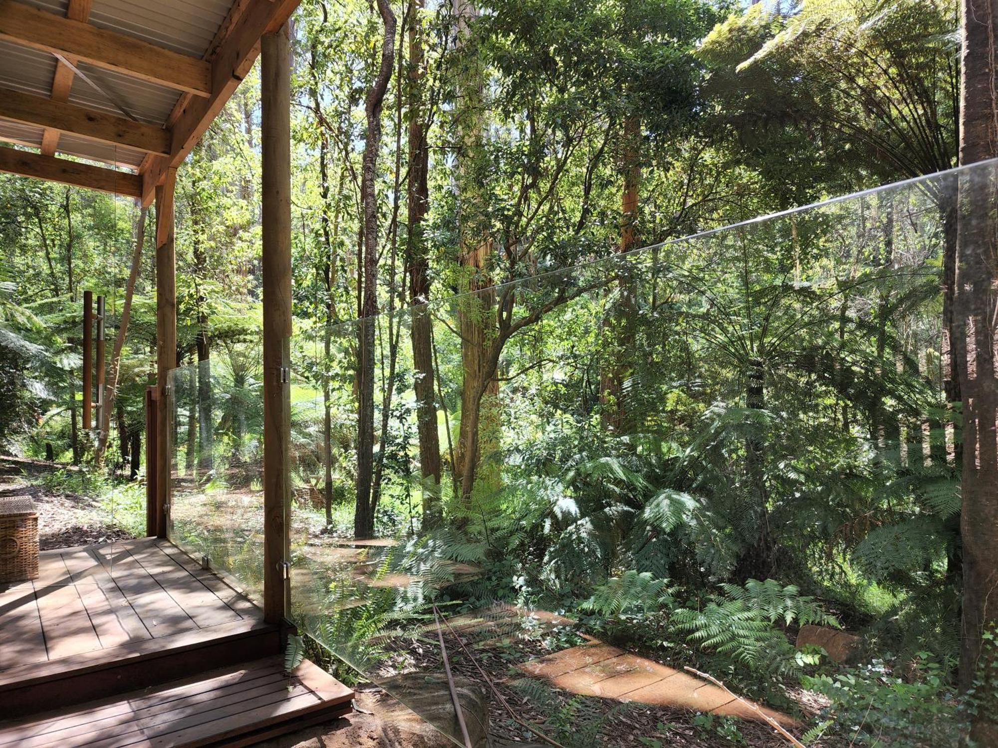 The Fernglen Forest Retreat Mount Dandenong Eksteriør billede