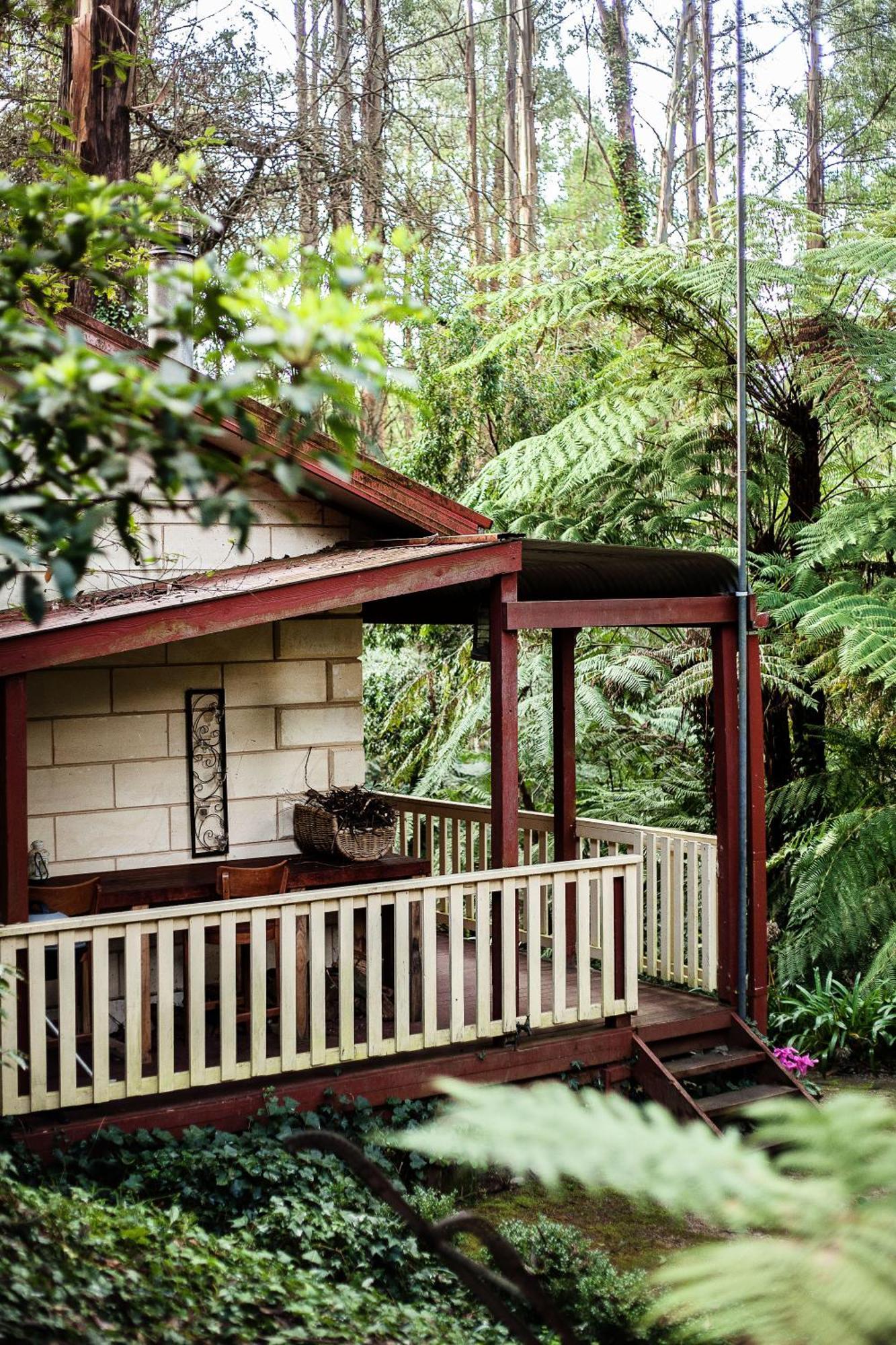 The Fernglen Forest Retreat Mount Dandenong Eksteriør billede