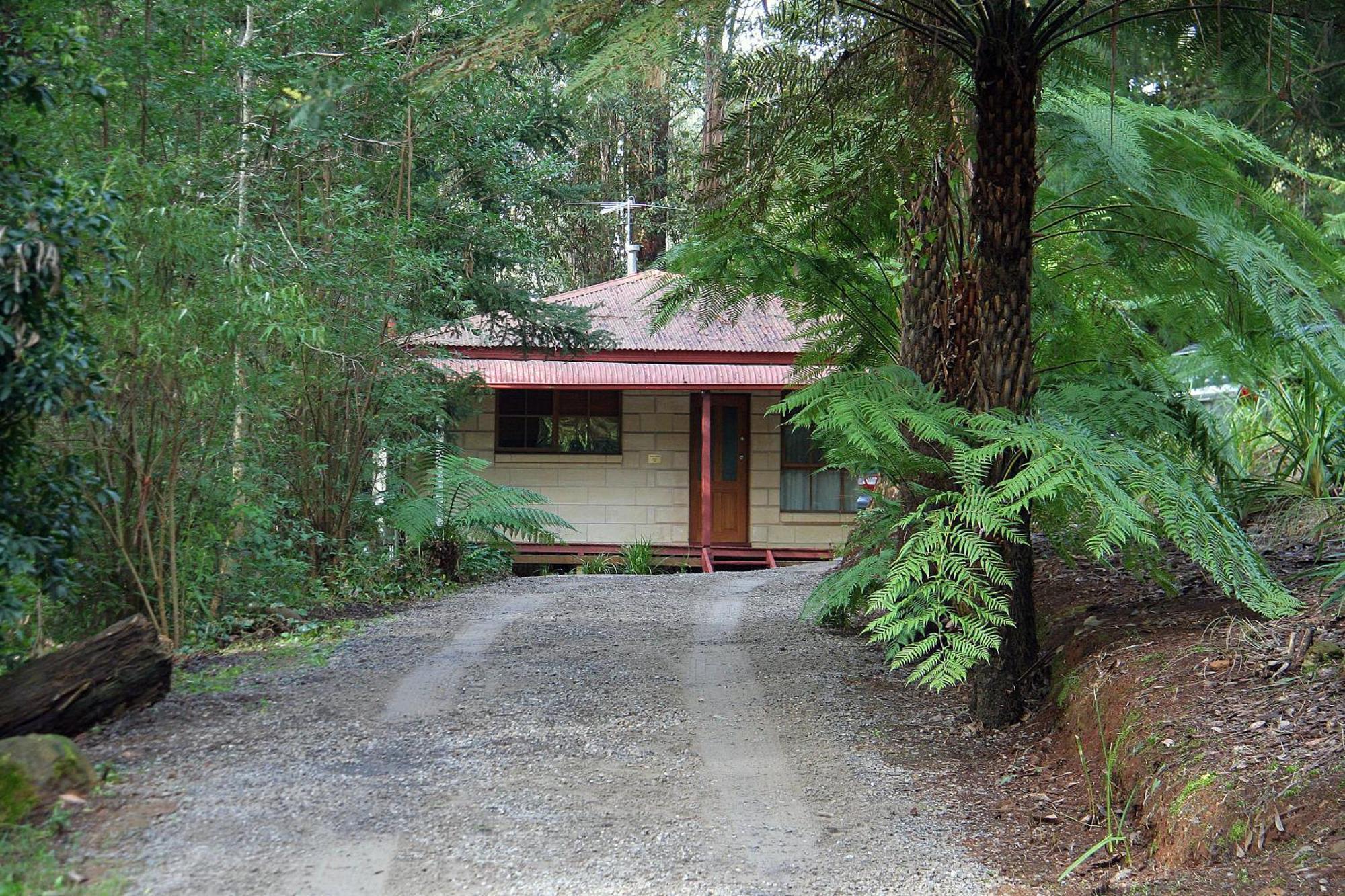 The Fernglen Forest Retreat Mount Dandenong Eksteriør billede