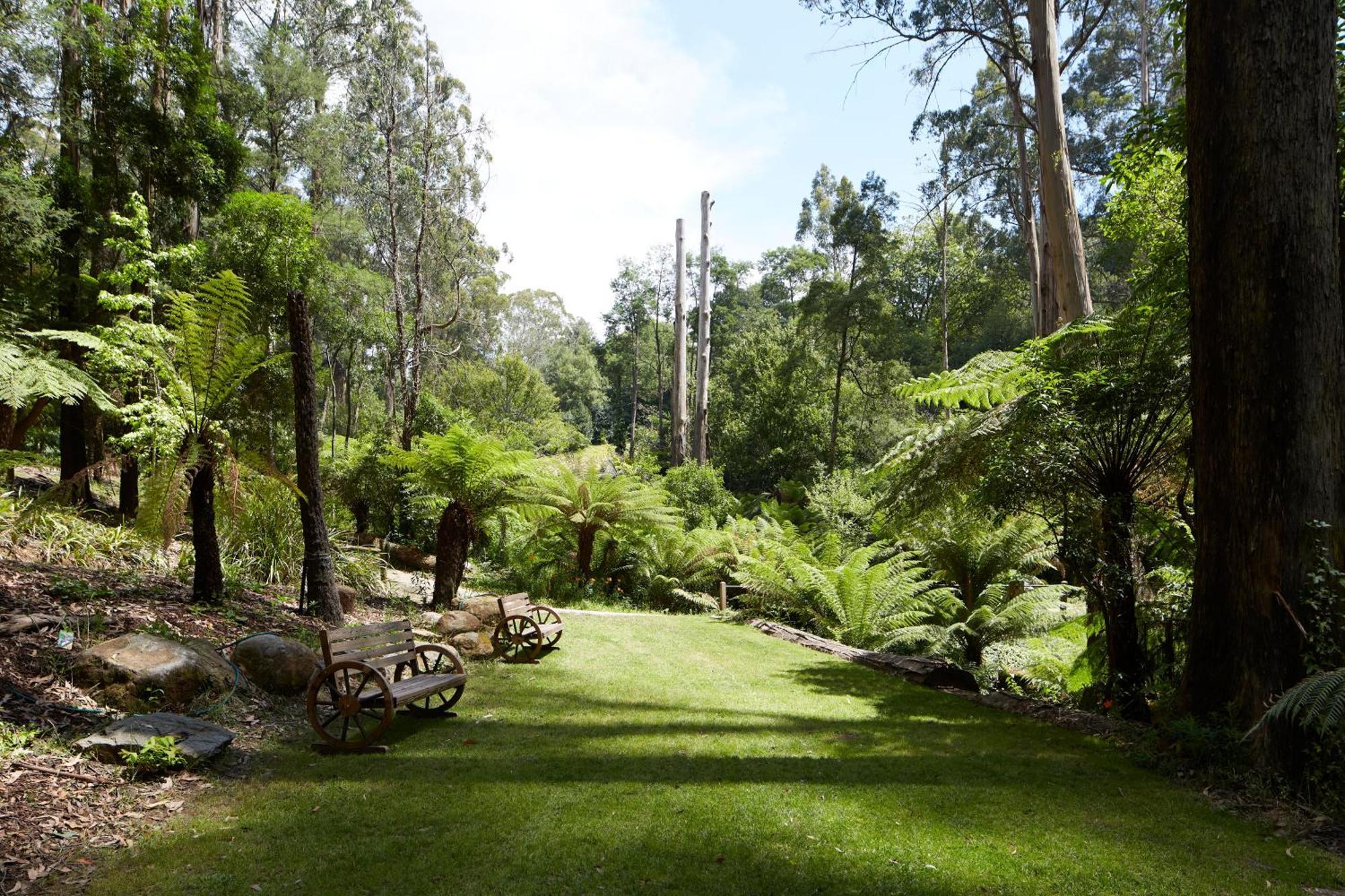 The Fernglen Forest Retreat Mount Dandenong Eksteriør billede