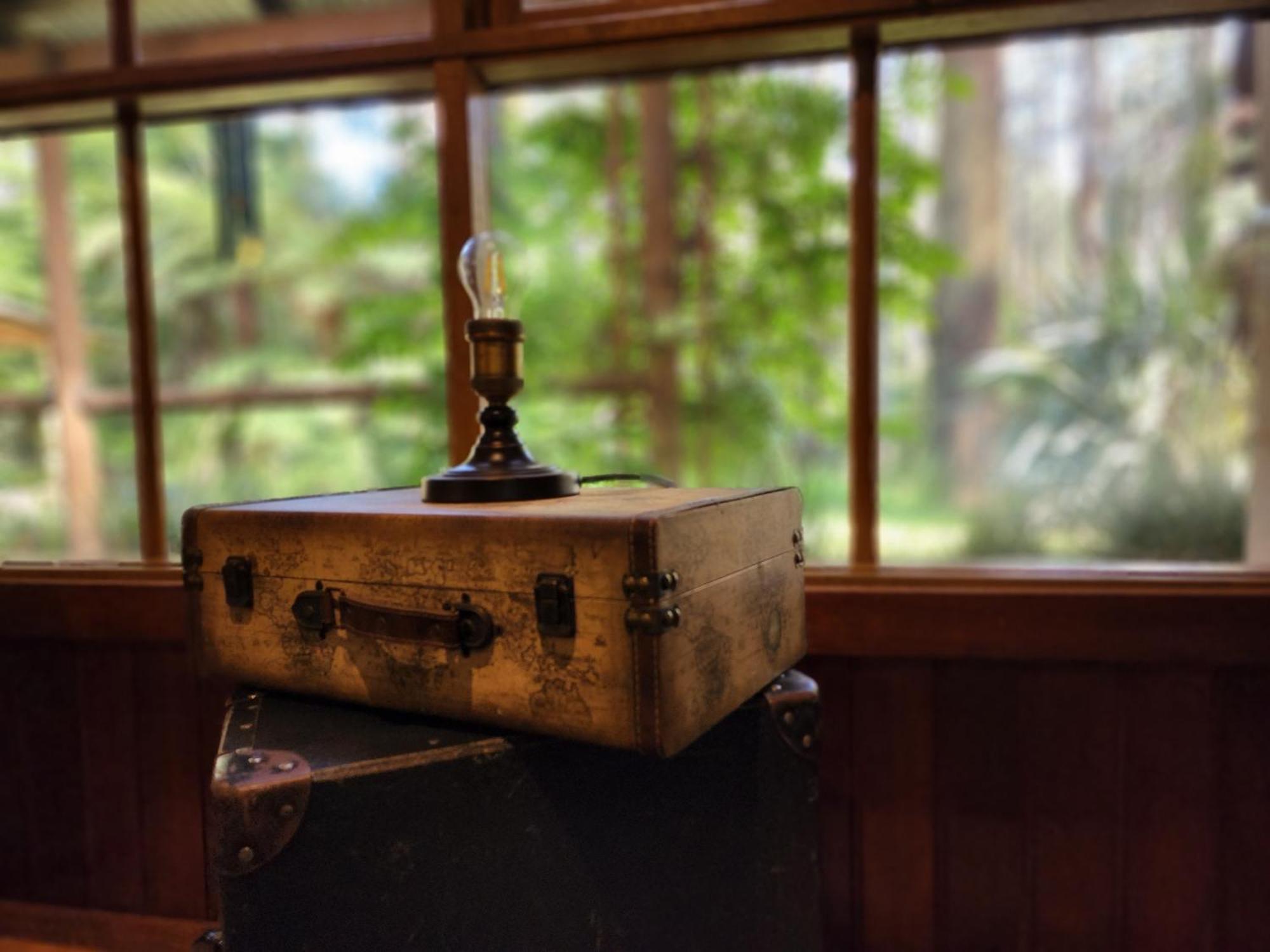 The Fernglen Forest Retreat Mount Dandenong Eksteriør billede
