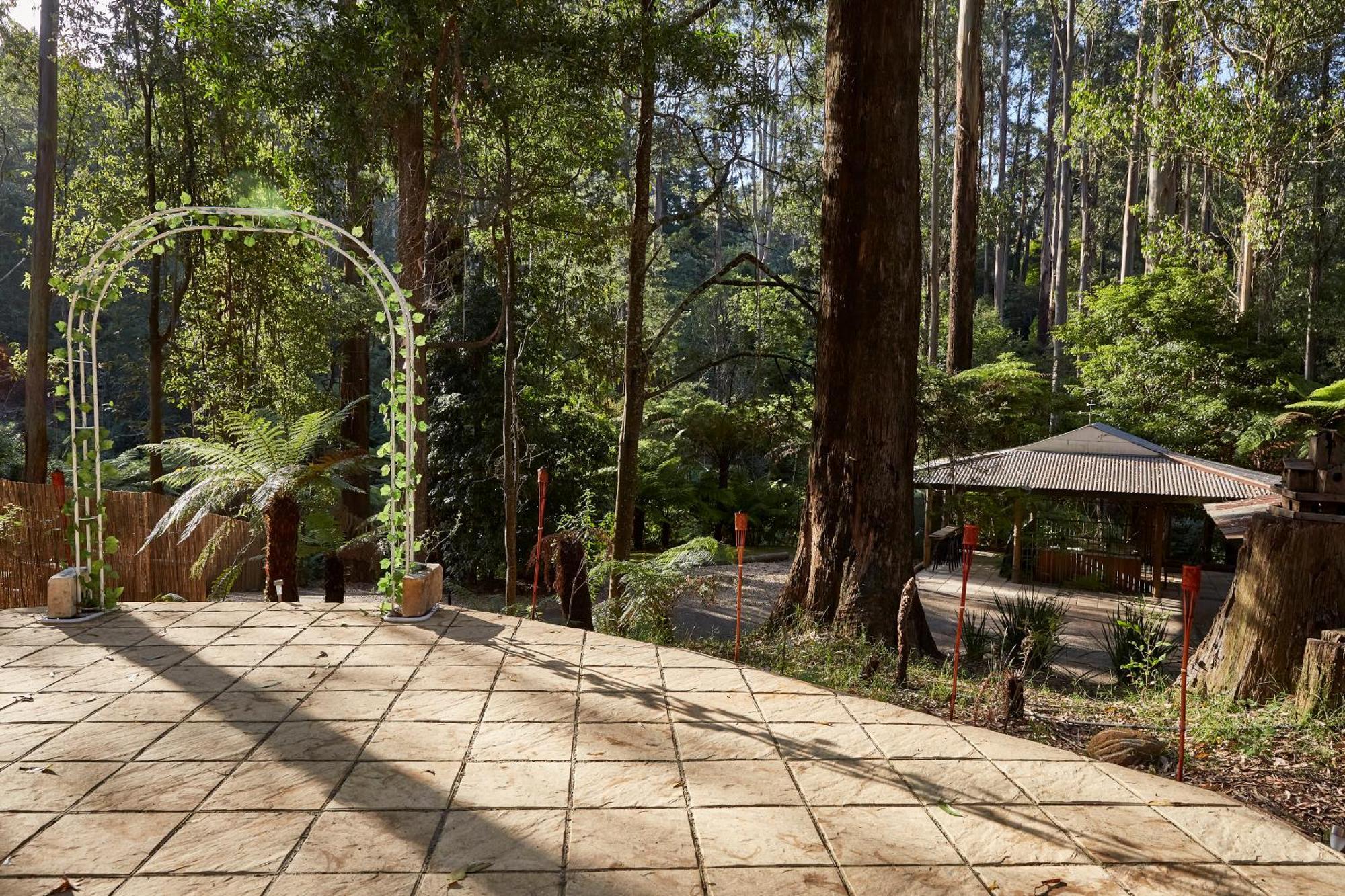 The Fernglen Forest Retreat Mount Dandenong Eksteriør billede